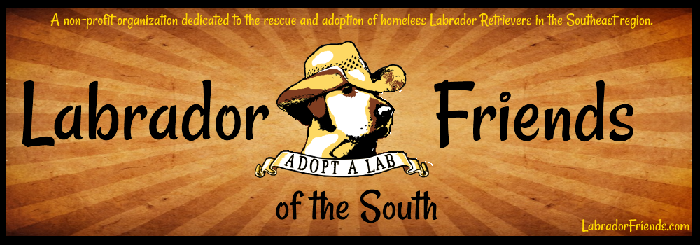 Labrador Friends of the South