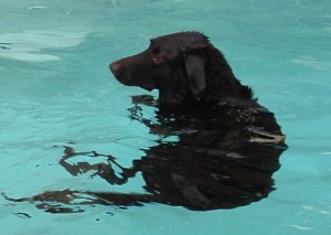 Keira 2003-2005 421
