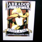 car magnet