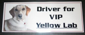 View Larger Image » driver_for_vip