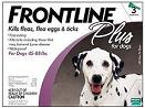 frontline