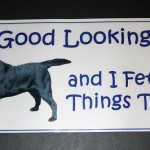 good_looking