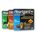 View Larger Image » hearguard