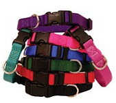 View Larger Image » nylon_collars