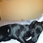 LFS - Harriet (Aeryn) LFS - Harriet (Aeryn)