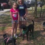 LFS - Gracie adopted