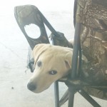 He is a great buddy to watch a game with