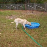 He loves water