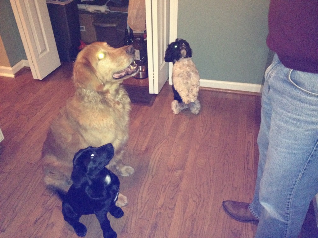 Guinness and foster family