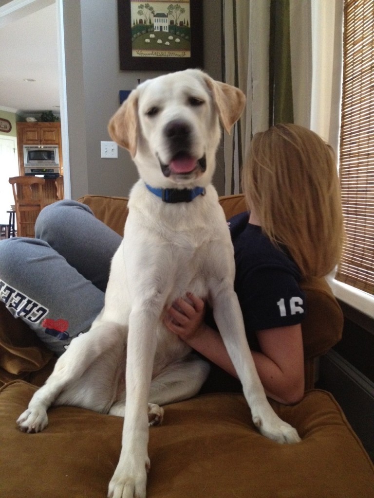 LFS Sadie2