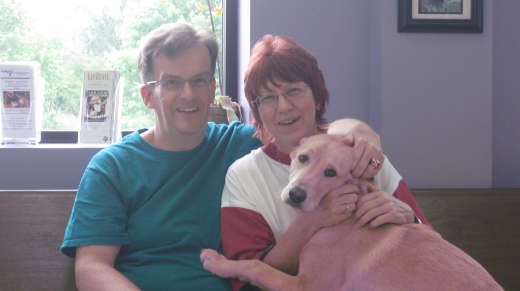 Labrador Friends of the South-Marley Adopted (2)