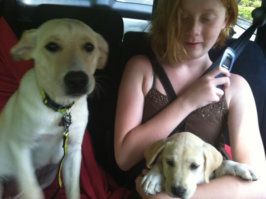 Sandy and Ruby