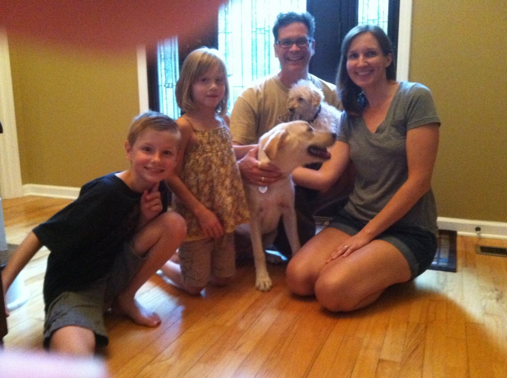 Labrador friends of the south ruby adopted