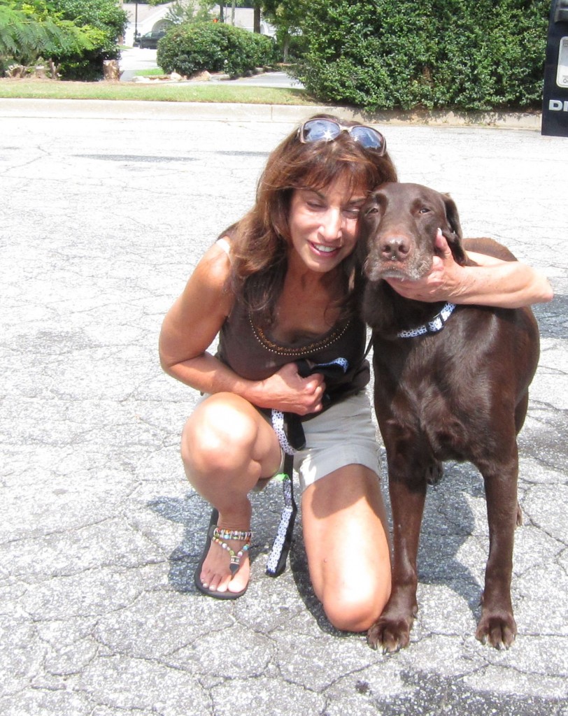 Labrador Friends of the South Koda adopted
