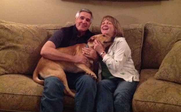 Labrador Friends of the South Trout Adopted (2)