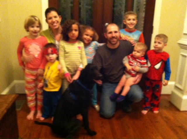 Labrador Friends of the South McKenzie adopted