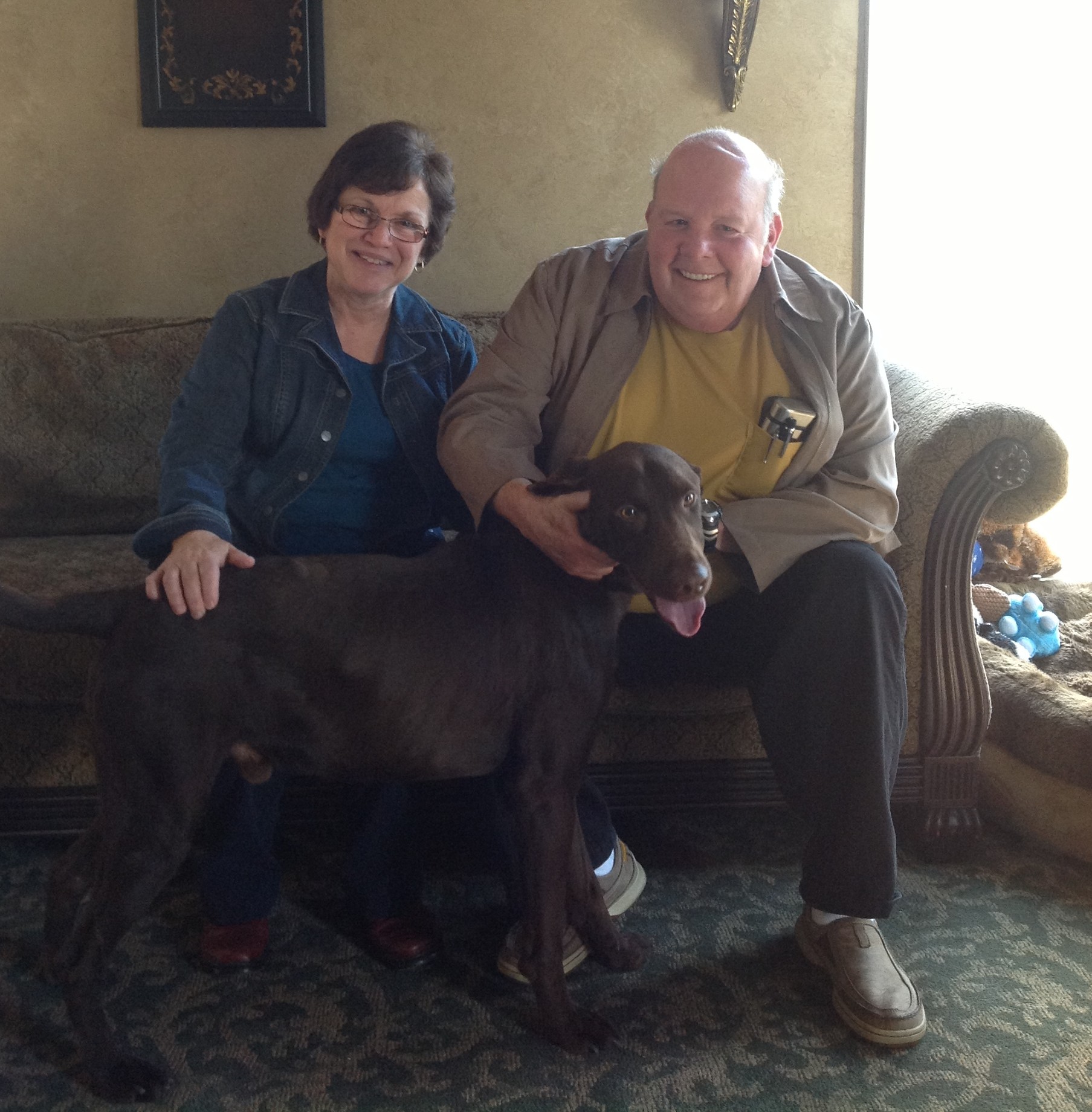 Labrador Friends of the South - Adopted Trooper