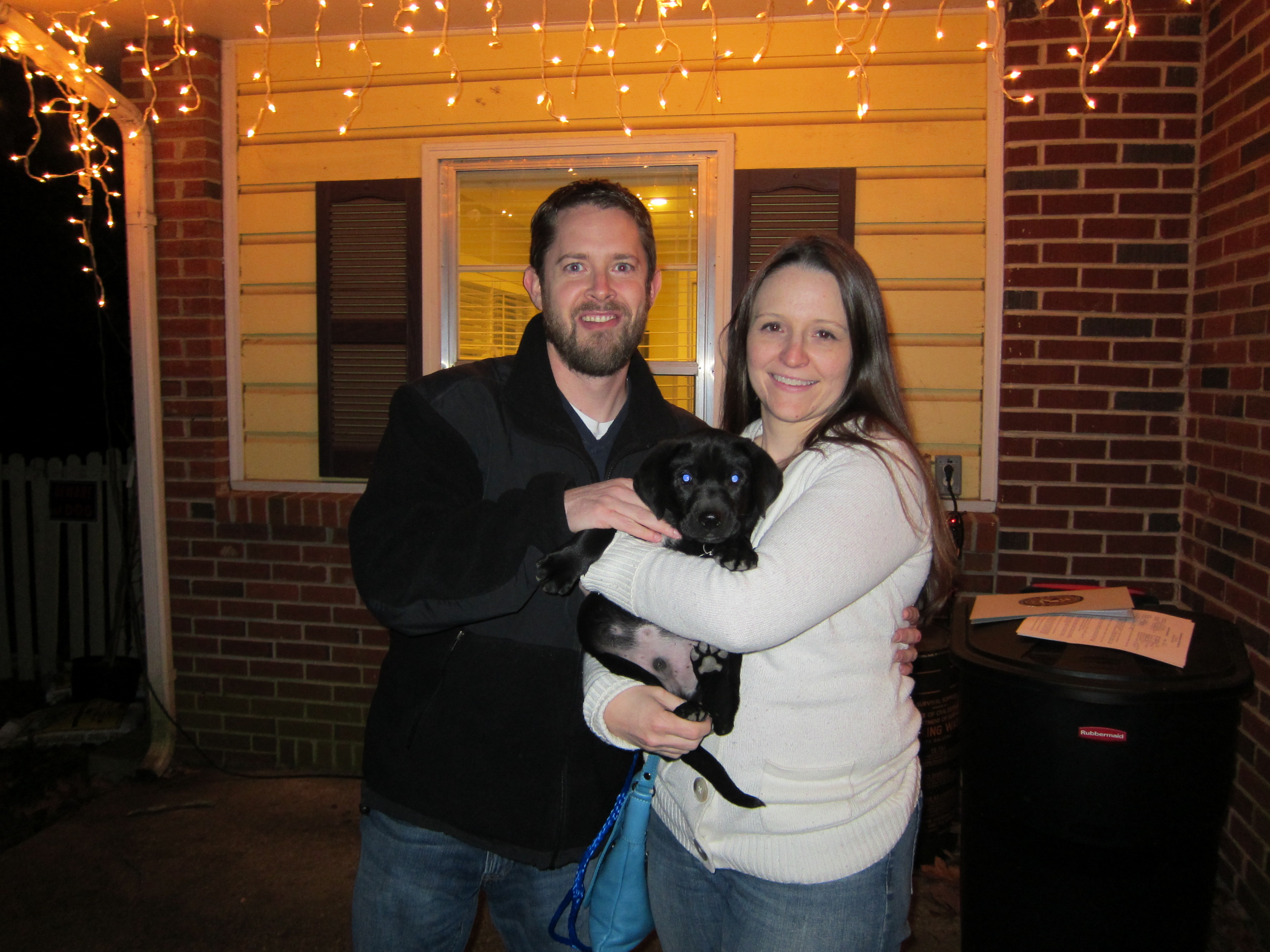 Labrador Friends of the South - Odie Adopted