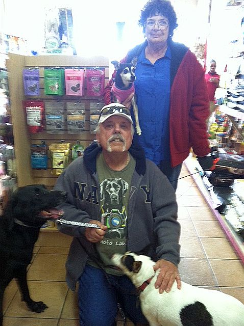 Labrador Friends of the South - Otis Adopted