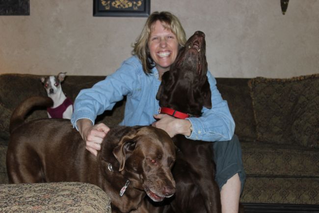 Labrador Friends Adopted - Dock
