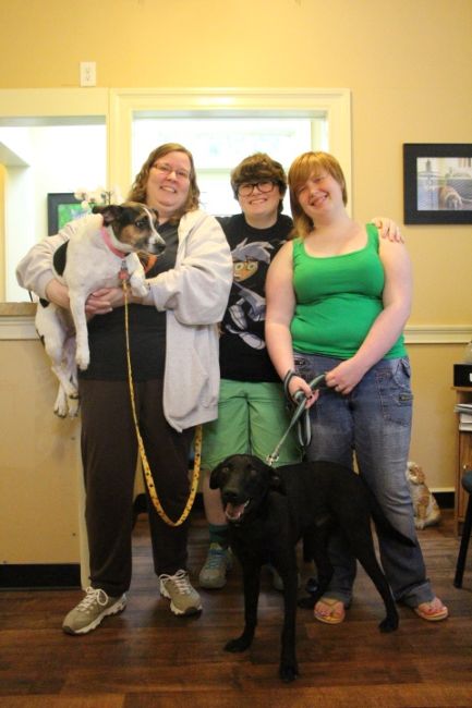 Labrador Friends of the South Adopted - Taylor