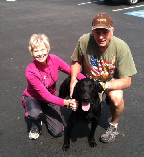 Labrador Friends of the South Adopted - Wiley