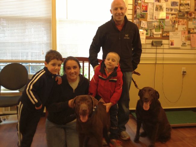 Labfrador Friends of the South - Georgia Adopted