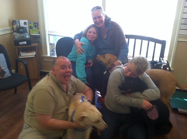 Labrador Friends Adopted - Niko