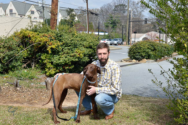 Labrador Friends Adopted - Spring-1