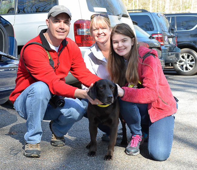 Labrador Friends Alex Adopted-1-2