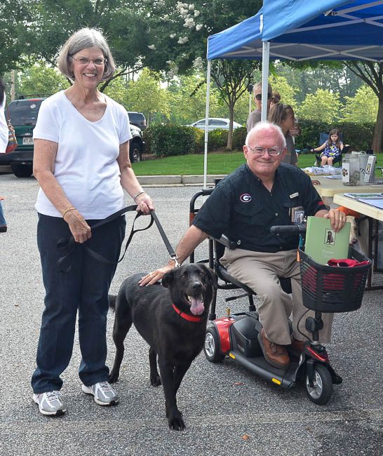Labrador Friends Adopted - Lucy 2-1