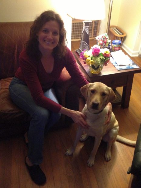 Labrador Friends of the South Adopted - Lily