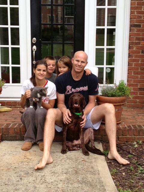 Labrador Friends Adopted - Gibson