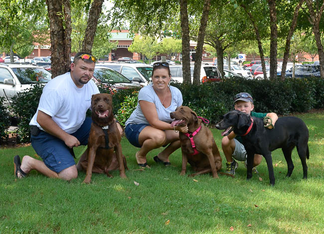 Labrador Friends Adopted - Tucker Jr-1