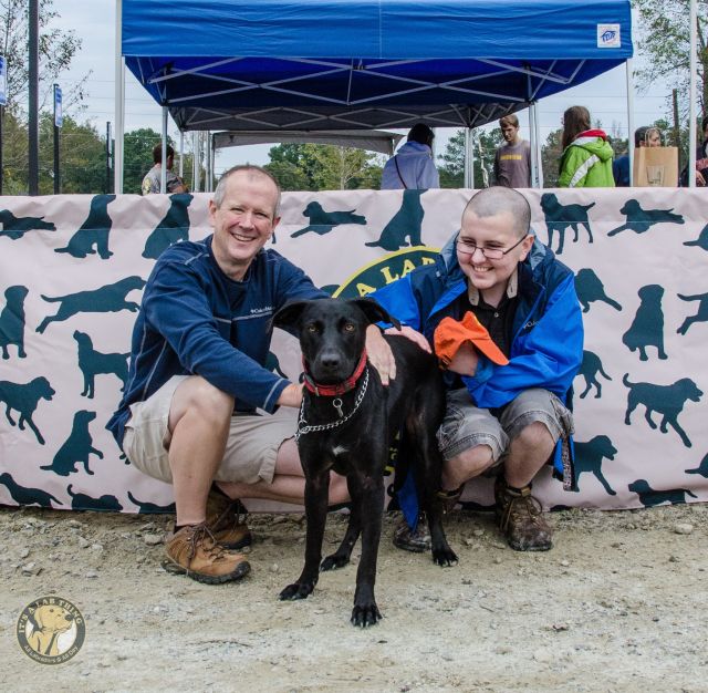 Bridger Adopted 10/19/2013 Labrador Friends