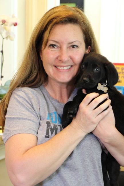 Labrador Friends of the South - Adopted Milan