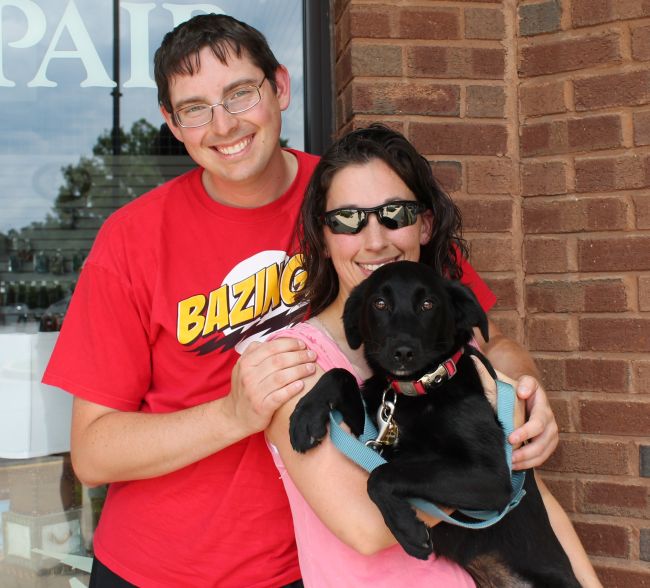 Labrador Friends Adopted - Cecilia