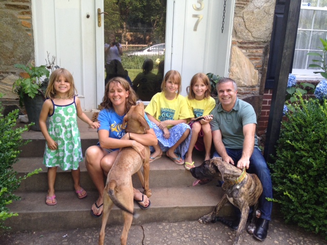 Labrador Friends Adopted - Chip