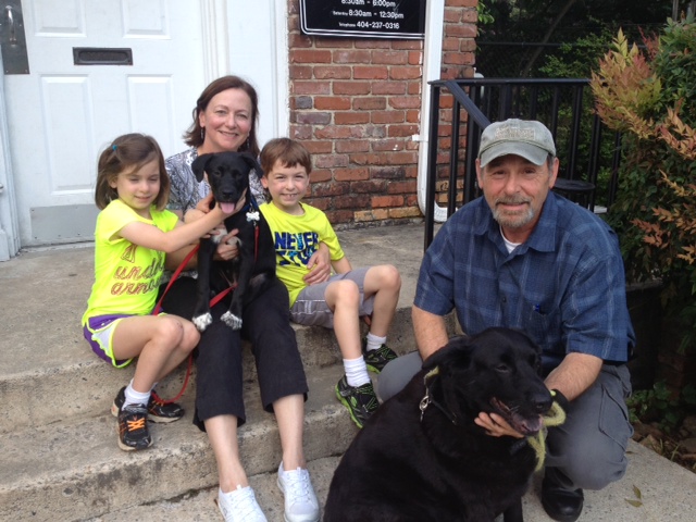 Labrador Friends Adopted - Jack