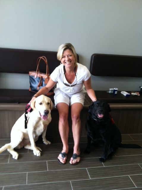 Labrador Friends Adopted - Anne Marie