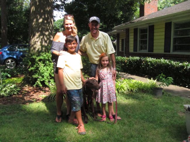 Labrador Friends Adopted - Charlie2