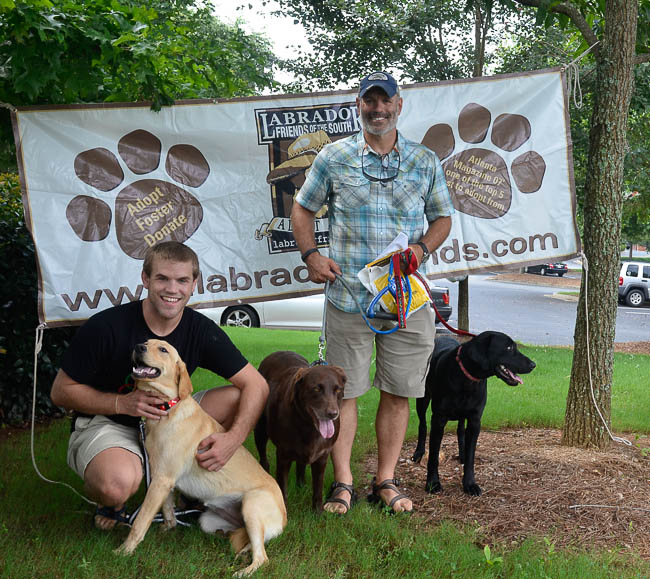 Labrador Friends Adopted - Kylie-1