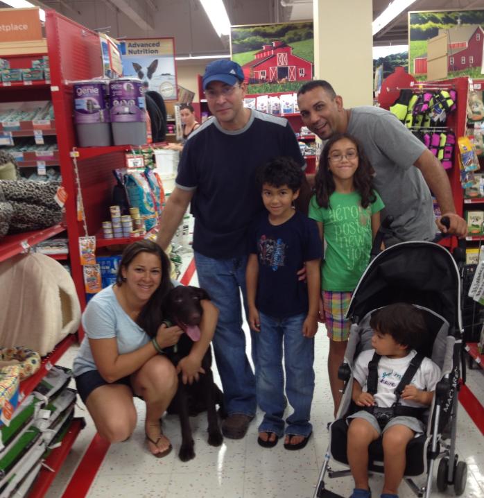 Labrador Friends Adopted - Shadow