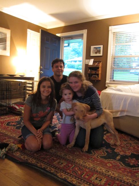 Labrador Friends Adopted - Tackle