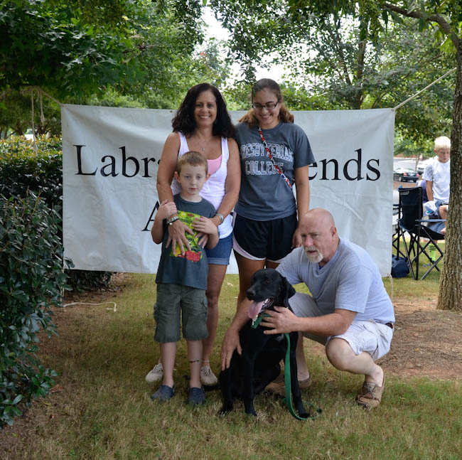 Labrador Friends of the South - Adopted Lab Dimples