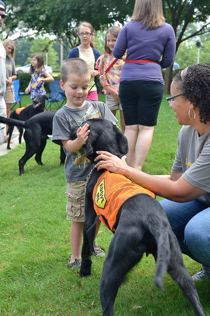 Labrador Friends of the South - Available Lab Dimples-1-6