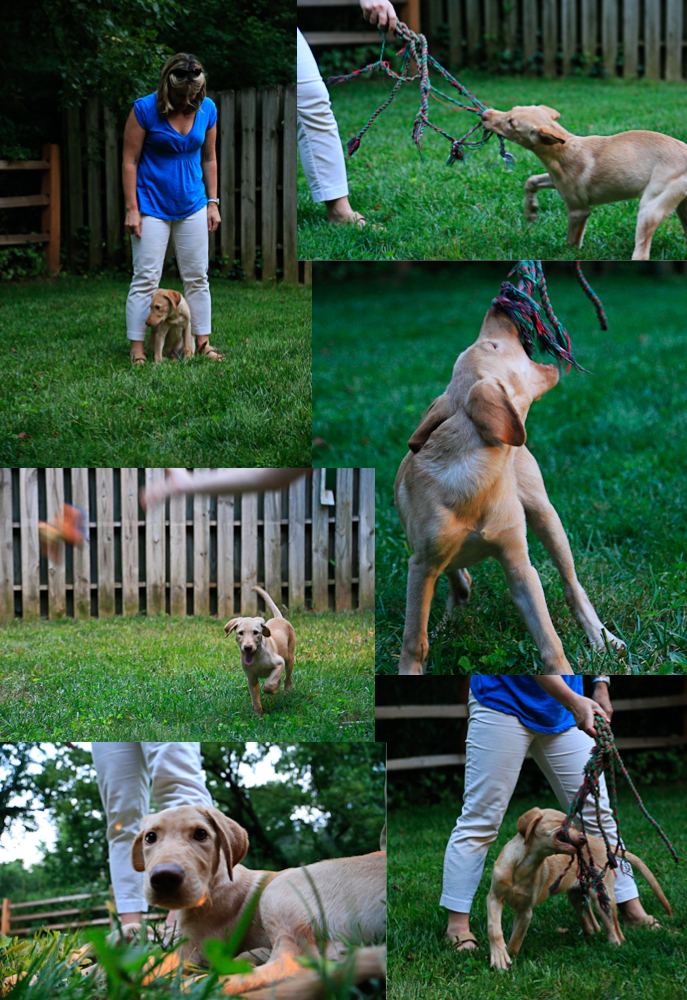 Tackel Collage 5