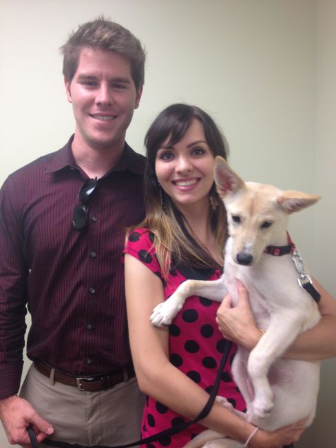 Labrador Friends Adopted - Alana