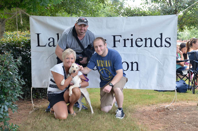 Labrador Friends - Adopted Dewey
