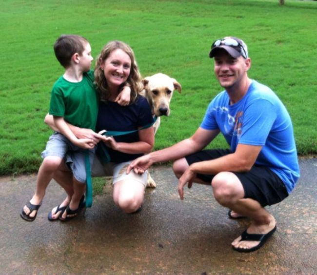 Labrador Friends Adopted - Harvey